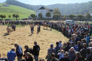 140923Einsiedeln 096